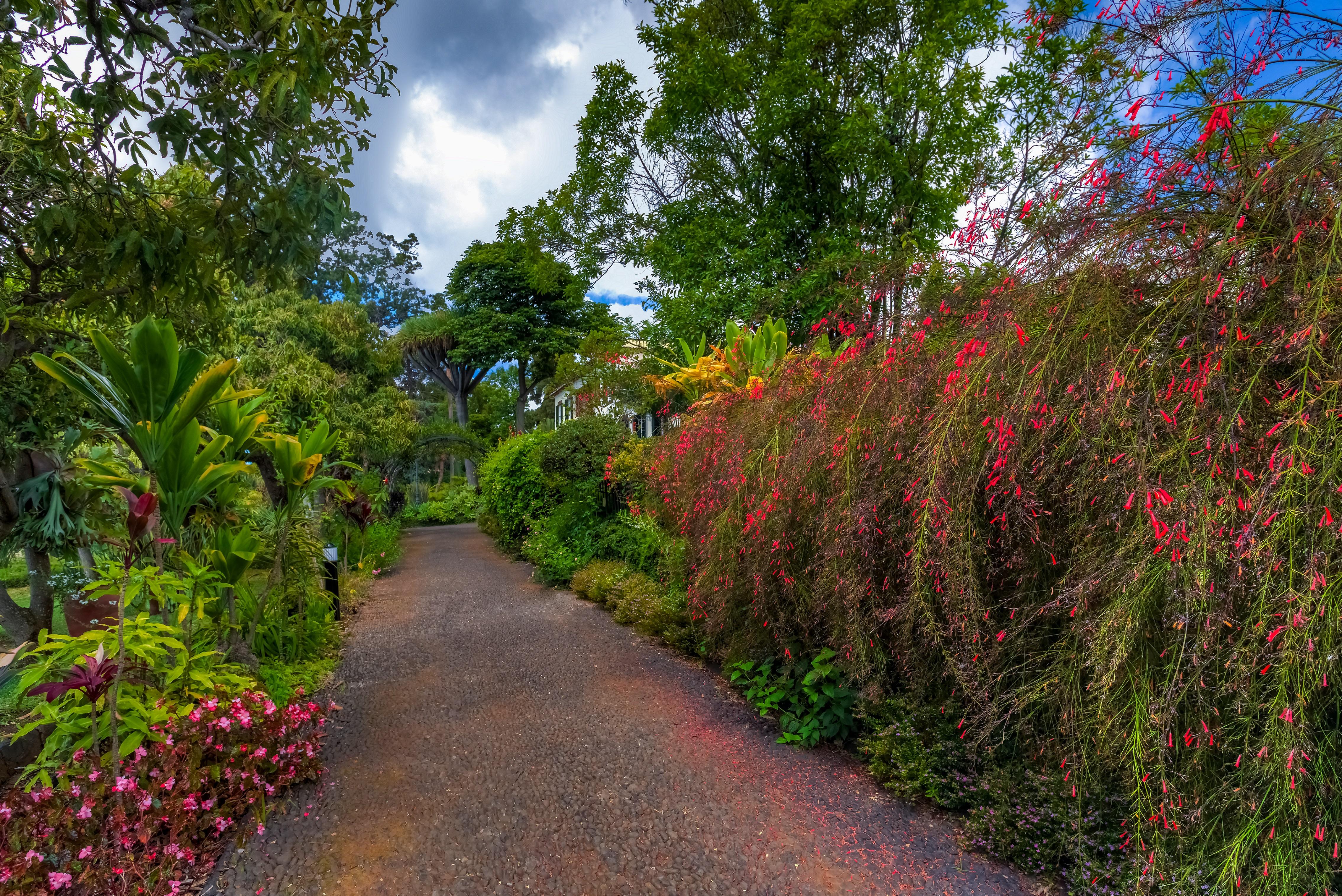 Quinta Jardins Do Lago Funchal  Exterior foto
